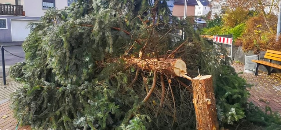 Weihnachtsbaum in Mittelhessen abgesägt