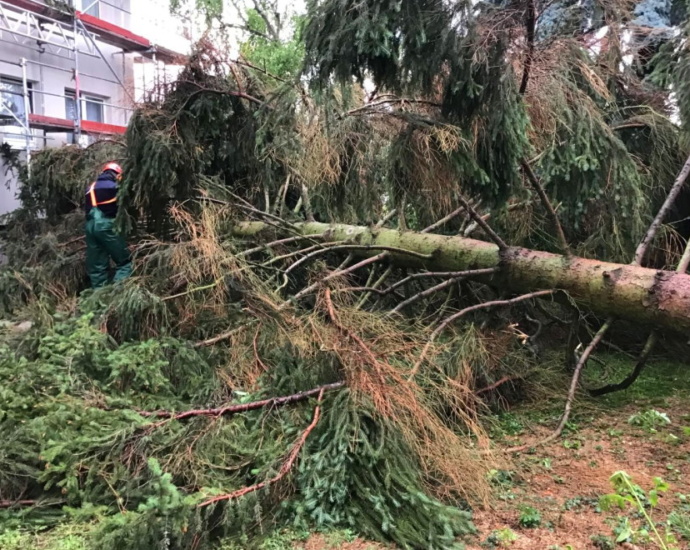 WI: 25 Unwetter-Einsätze in Erbenheim