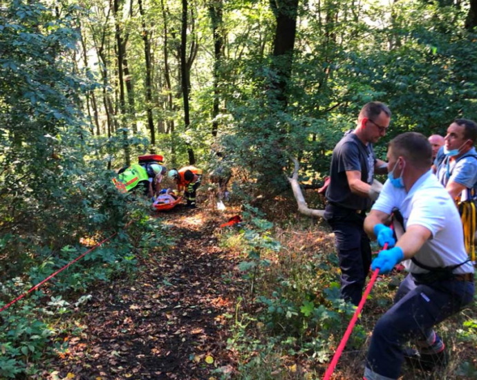 Schwierige Rettung aus Wald bei Gudensberg