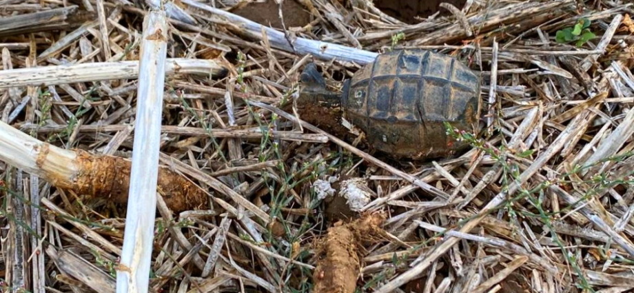 Spaziergänger findet Handgranate in Südhessen