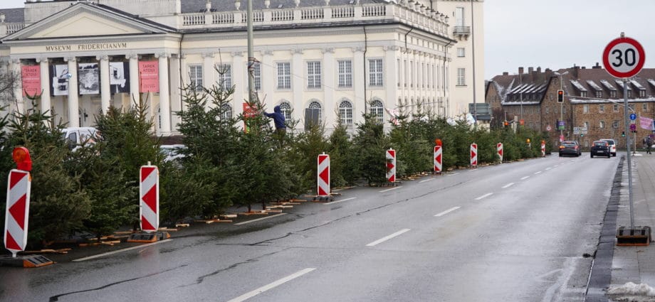 Wald statt Asphalt – 200 Tannenbäume symbolisch in Kassel gepflanzt (Video)