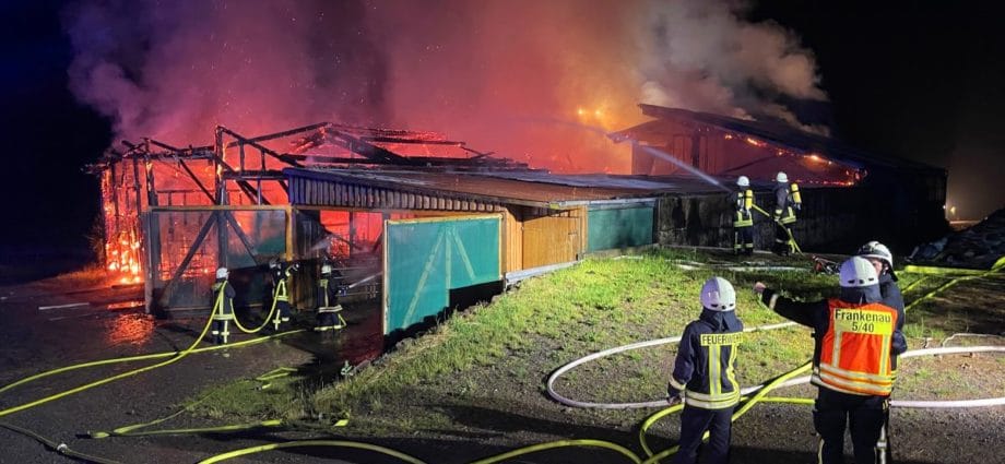 Neun Kälber verenden bei Großbrand in Frankenau