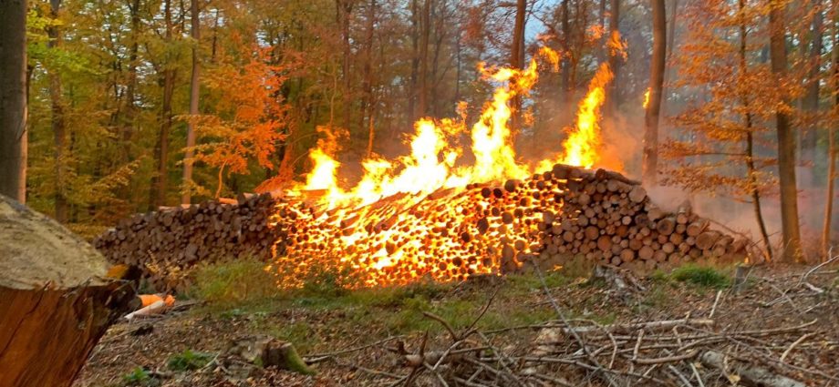 WOH: 120 Einsatzkräfte beim Waldbrand im Einsatz