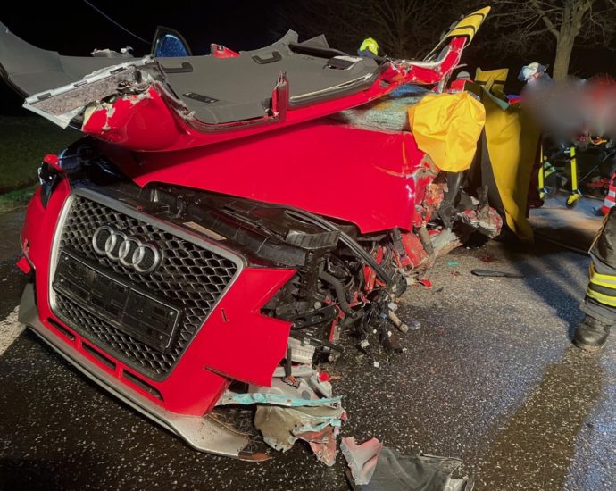 B254: Gegen Baum gekracht – Fahrer über eine Stunde eingeklemmt (VIDEO)
