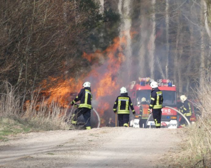 Waldeck Frankenberg: Zwei Holzstapel brannten – Feuerwehr sechs Stunden im Einsatz
