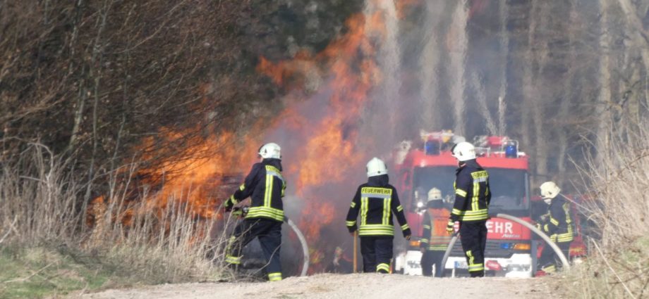 Waldeck Frankenberg: Zwei Holzstapel brannten – Feuerwehr sechs Stunden im Einsatz
