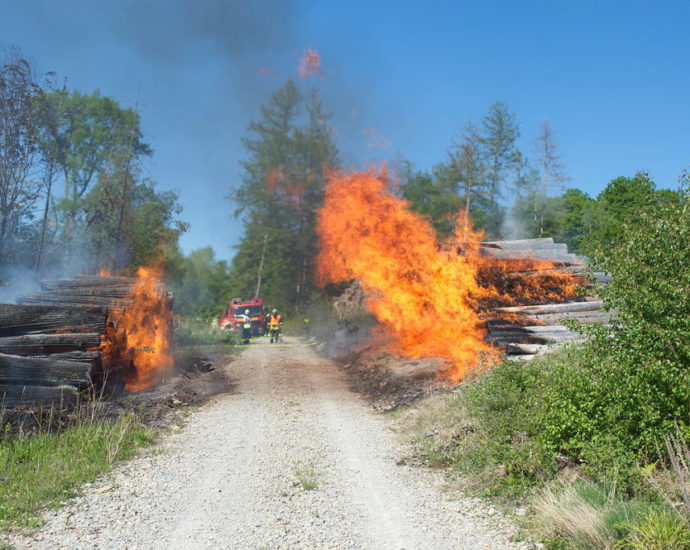 Über 100 Einsatzkräfte bekämpften Waldbrand bei Hessisch Lichtenau