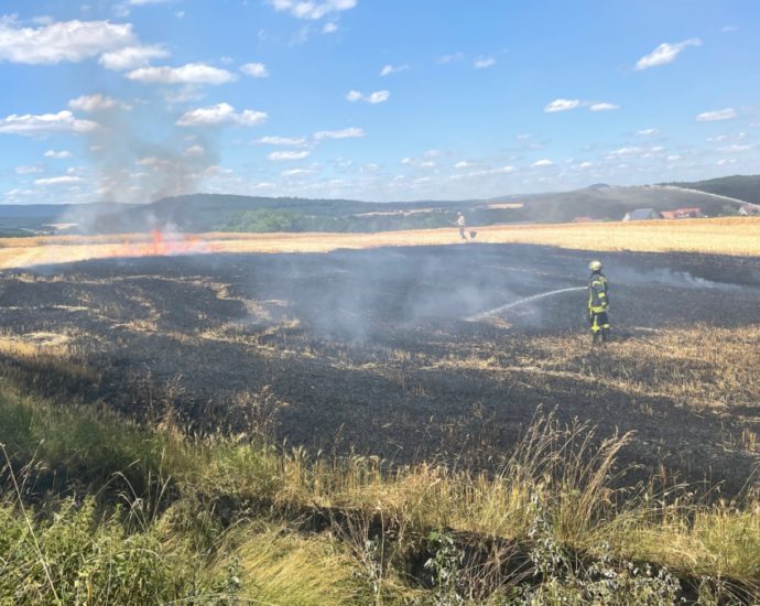 Stoppelfeld brannte bei Rörshain (VIDEO)