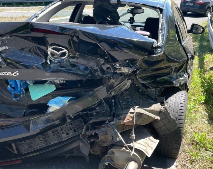 Wild ausgewichen – Fahrzeug Totalschaden