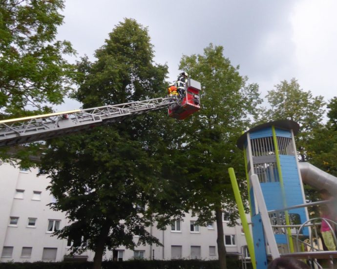 KS: Feuerwehr rettet Kind vom Baum