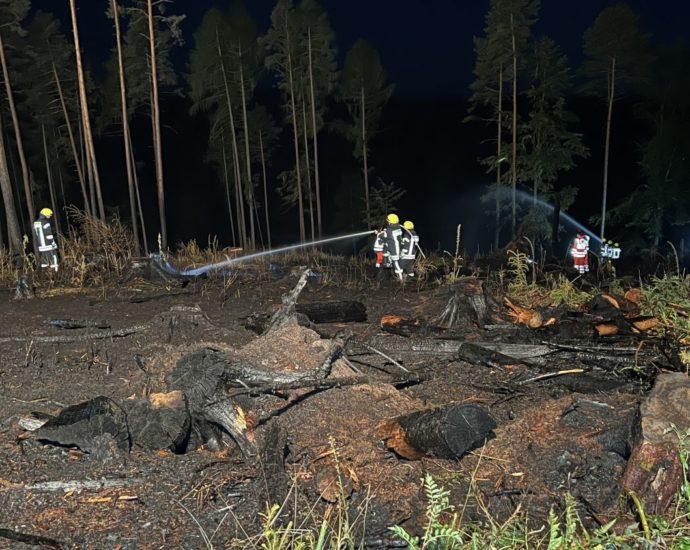 10.000 m² Wald brannte – 150 Feuerwehrleute im Löscheinsatz