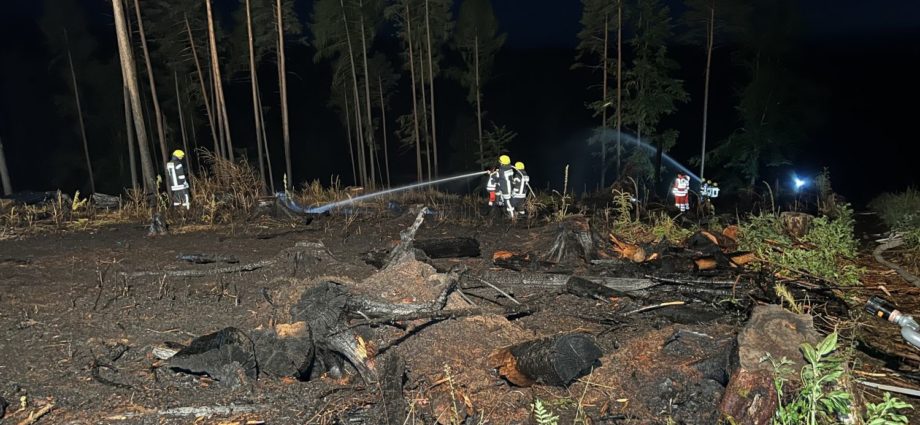 10.000 m² Wald brannte – 150 Feuerwehrleute im Löscheinsatz
