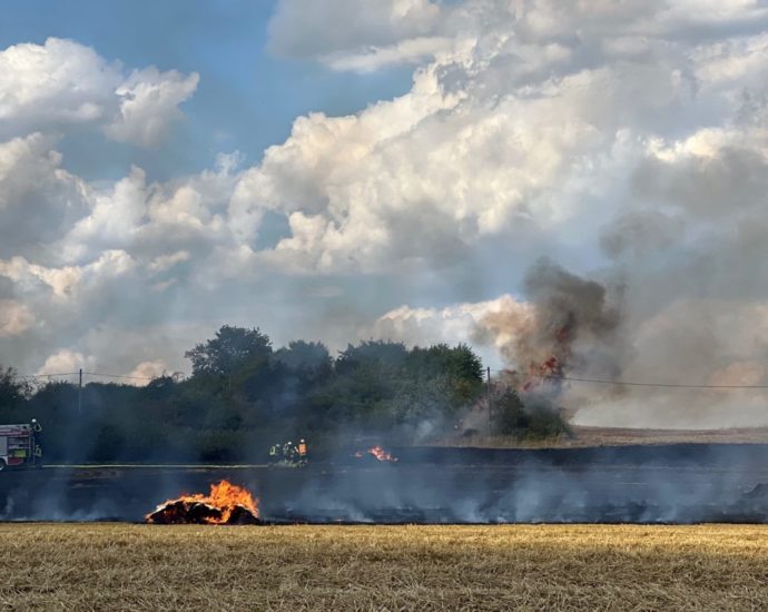 2,5 Hektar Stoppelfeld brannte bei Ehringen