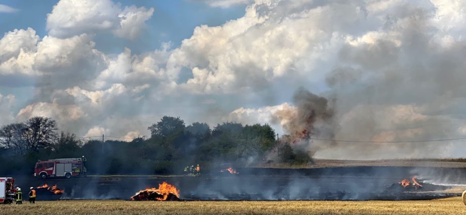 2,5 Hektar Stoppelfeld brannte bei Ehringen