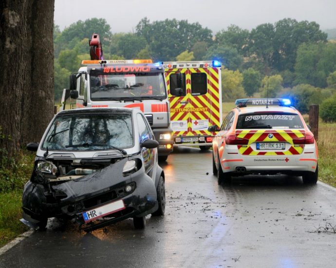 Mit Smart gegen Baum – 19-jährige leicht verletzt
