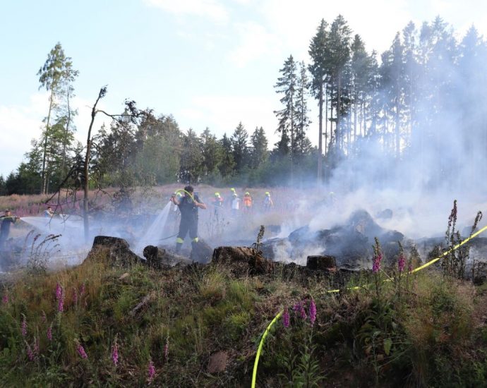 Südhessen: Waldbrand bei Mossautal