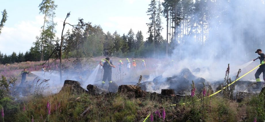 Südhessen: Waldbrand bei Mossautal
