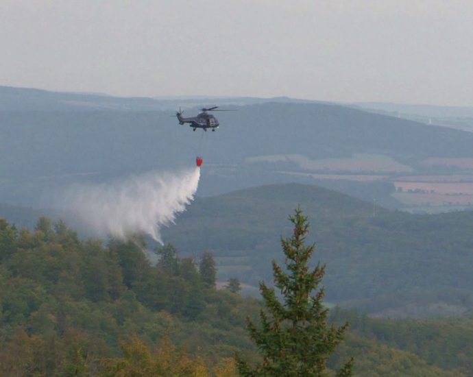 Waldbrand-Übung: Rund 200 Einsatzkräfte übten im Kaufunger Wald den Ernstfall (VIDEO)