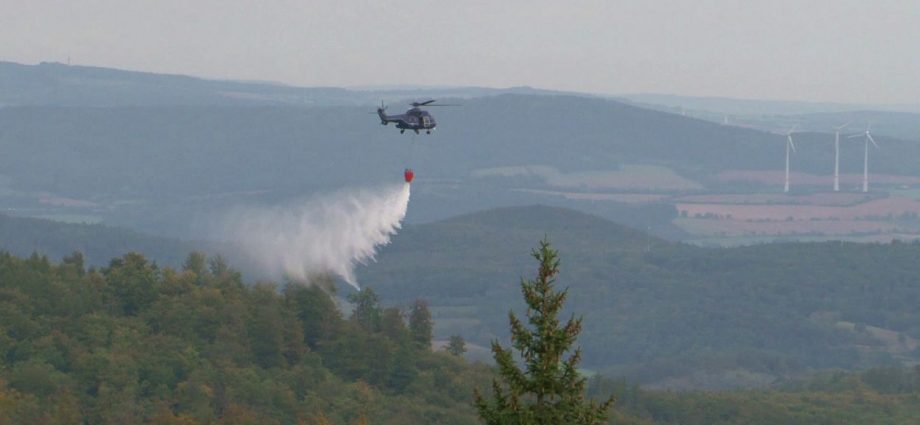 Waldbrand-Übung: Rund 200 Einsatzkräfte übten im Kaufunger Wald den Ernstfall (VIDEO)