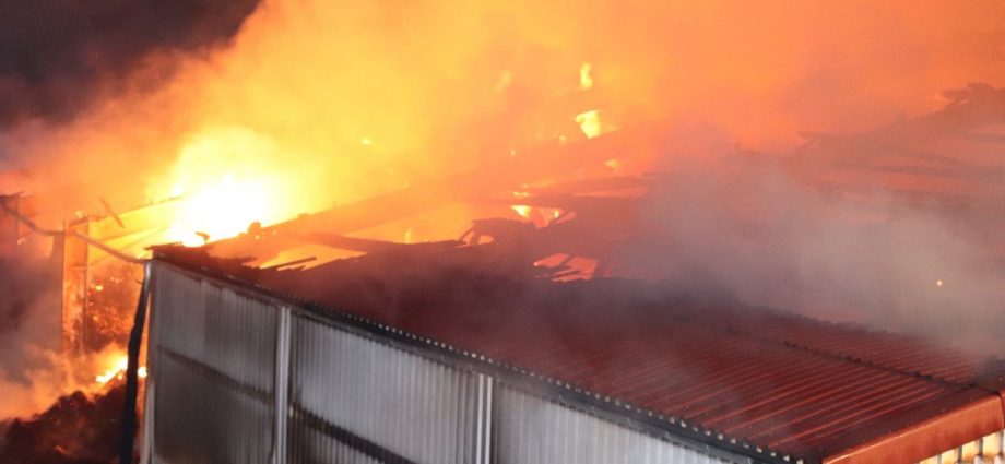 Südhessen: 1000 Strohballen brennen in Lagerhalle