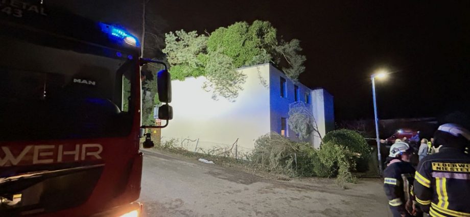 Niestetal: 25 Meter hoher Baum stürzt auf Wohnhaus – Feuerwehr im Einsatz