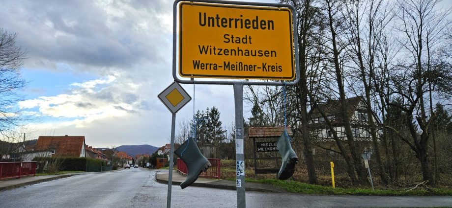 17 Schafe auf Weide bei Witzenhausen verhungert – Polizei ermittelt